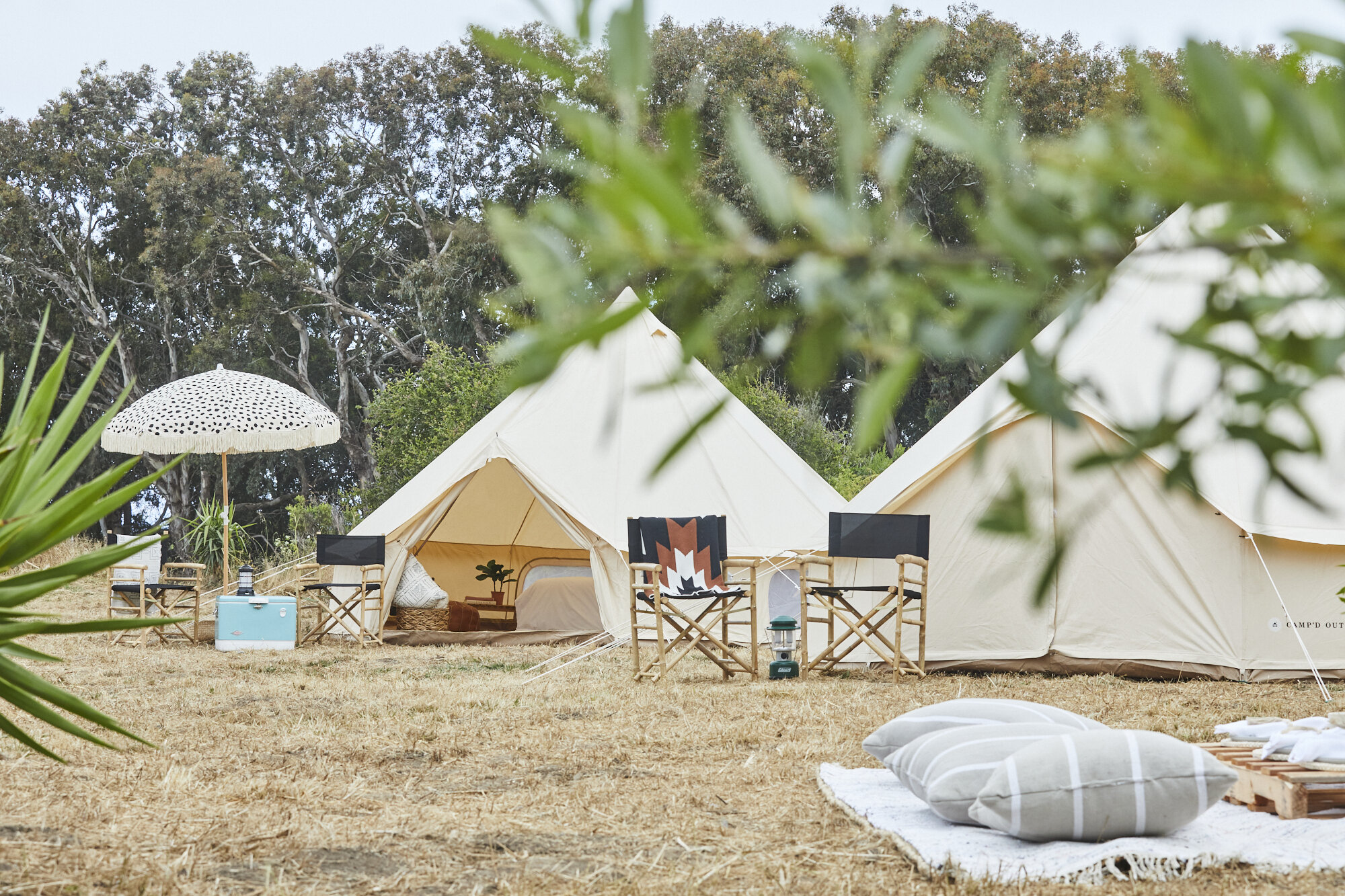 CampdOut_46.jpg